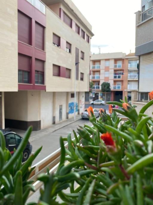 Voulez Vous Numero Uno San Pedro del Pinatar